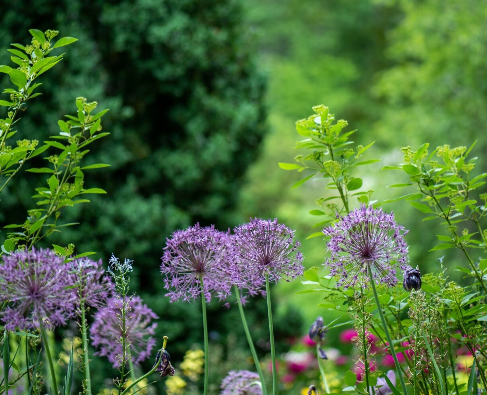 erda-estremera-unsplash